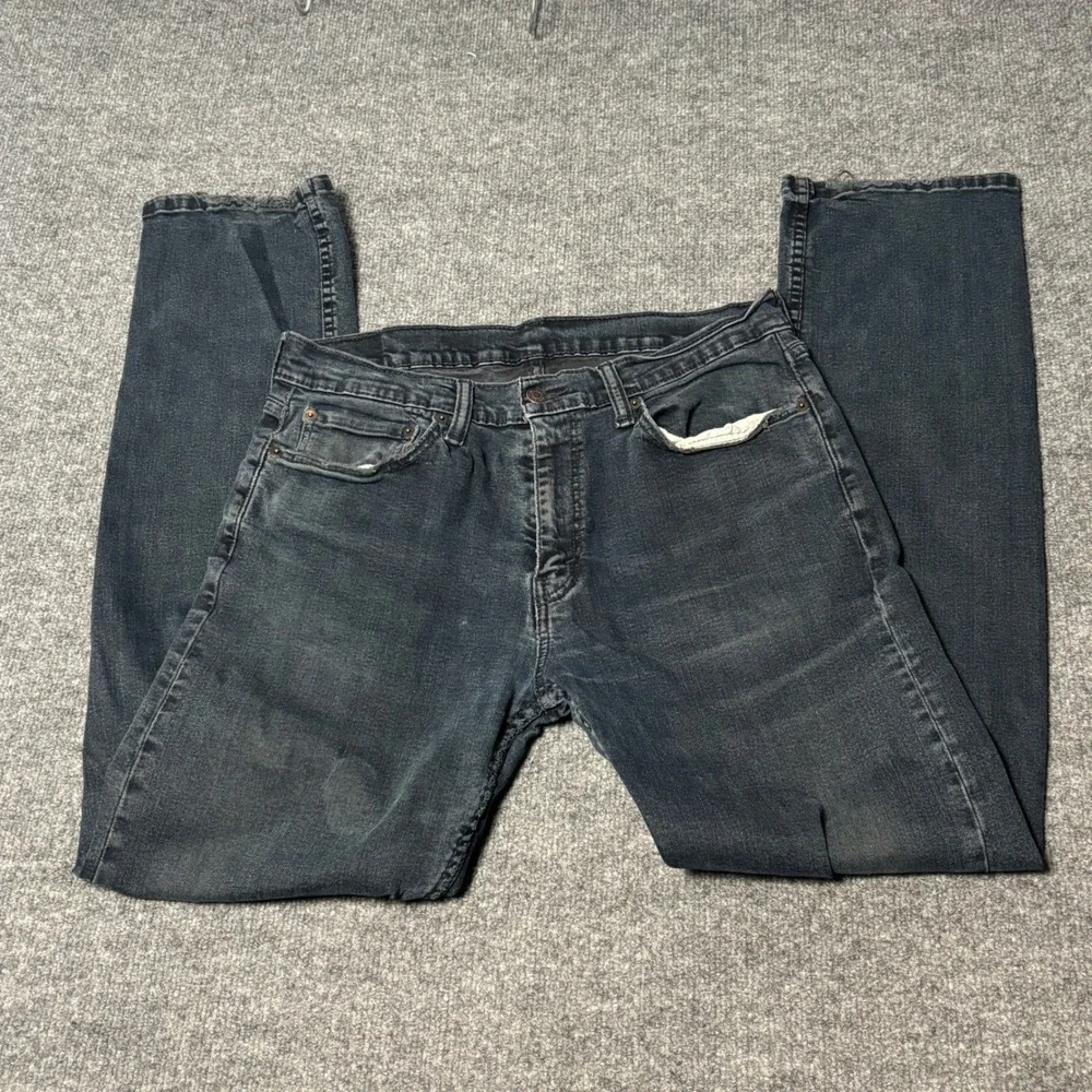 Levis levis 504